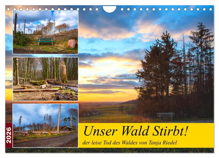 Produktbild: Unser Wald Stirbt (Wandkalender 2026 DIN A4 quer), CALVENDO Monatskalender | Tanja Riedel, Calvendo