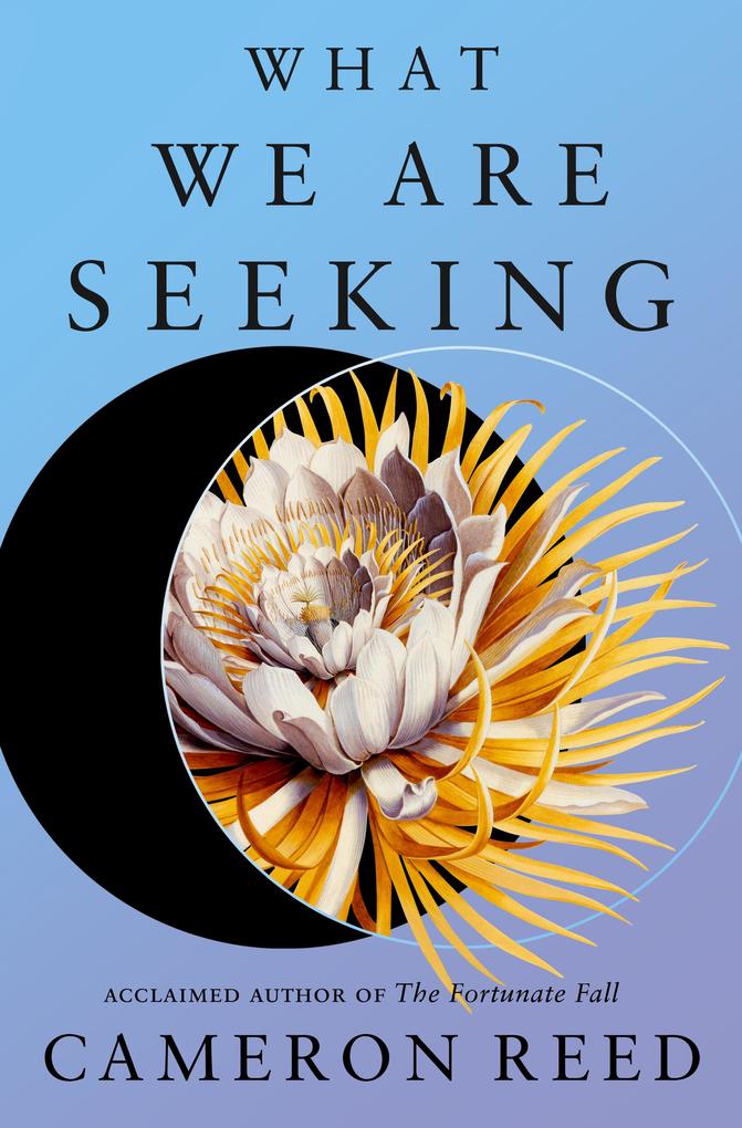 Produktbild: What We Are Seeking | Cameron Reed