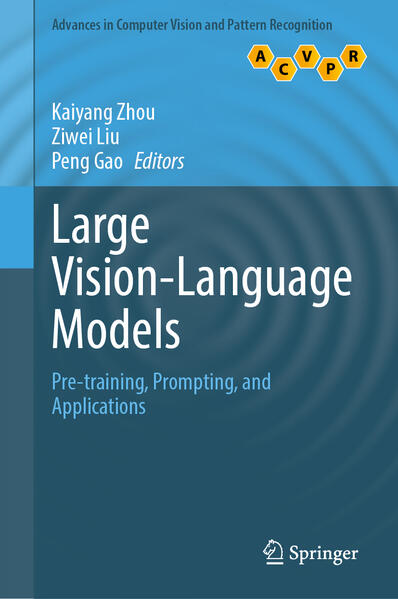 Produktbild: Large Vision-Language Models