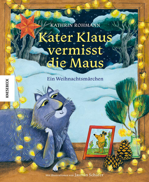 Produktbild: Kater Klaus vermisst die Maus | Kathrin Rohmann
