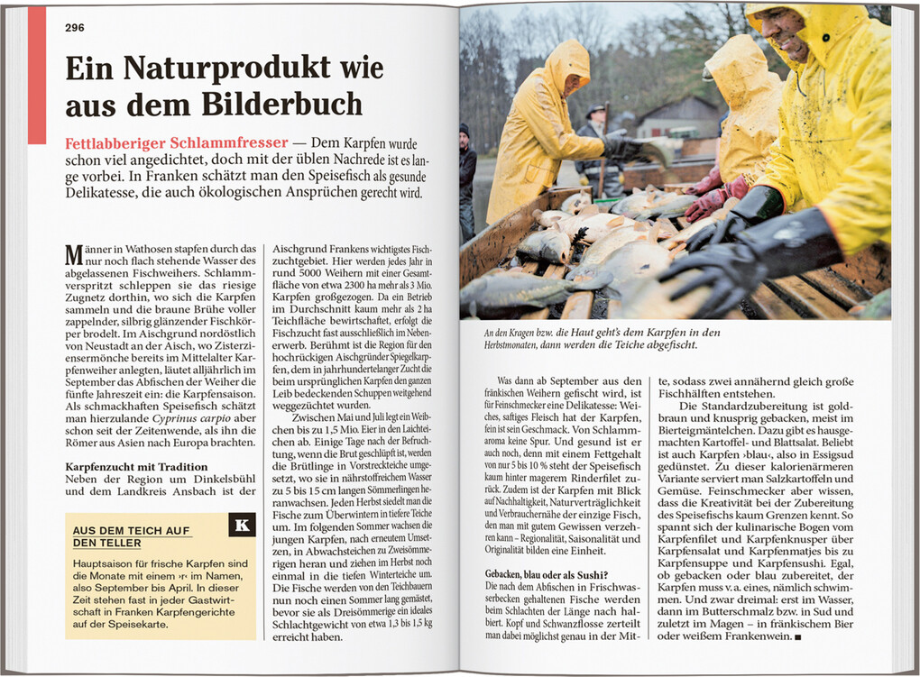 Weitere Ansicht: DUMONT Reise-Taschenbuch Reiseführer Franken | Roland Dusik