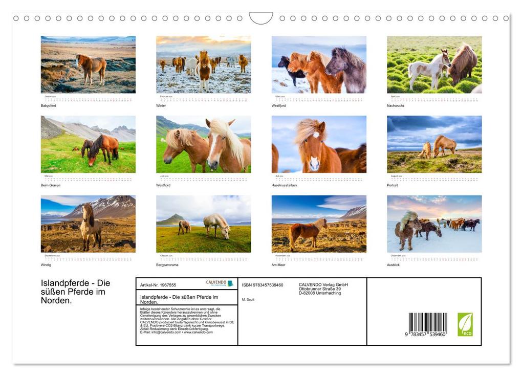 Weitere Ansicht: Islandpferde - Die süßen Pferde im Norden. (Wandkalender 2026 DIN A3 quer), CALVENDO Monatskalender | Calvendo, M. Scott