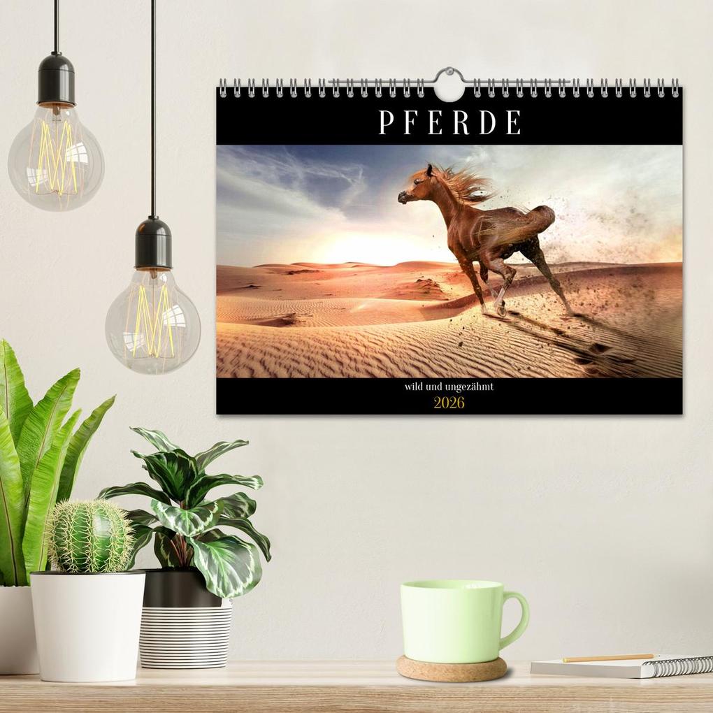 Weitere Ansicht: Pferde - wild und ungezähmt (Wandkalender 2026 DIN A4 quer), CALVENDO Monatskalender | Calvendo, Renate Utz