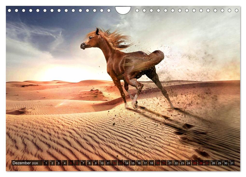 Weitere Ansicht: Pferde - wild und ungezähmt (Wandkalender 2026 DIN A4 quer), CALVENDO Monatskalender | Calvendo, Renate Utz
