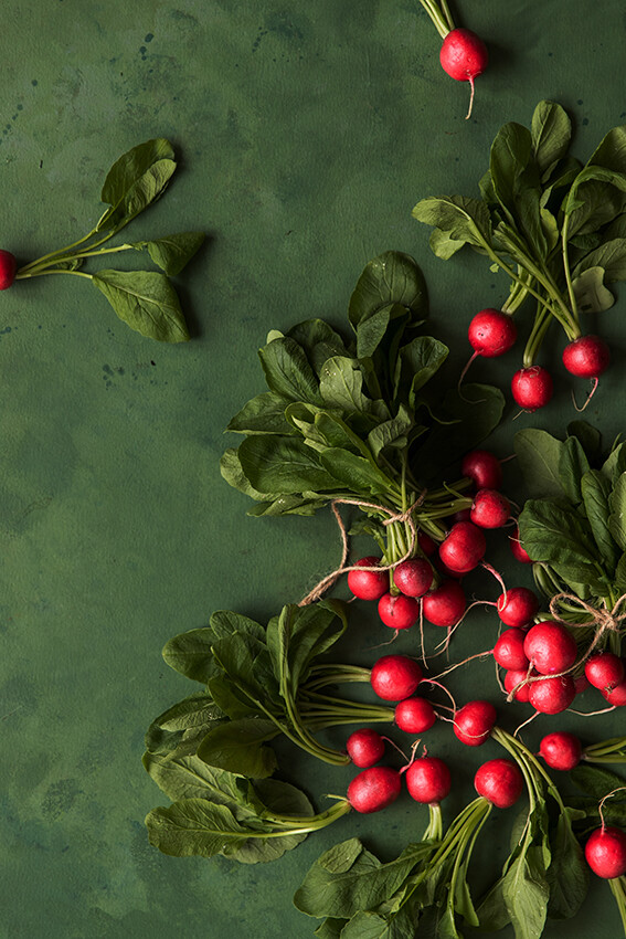 Weitere Ansicht: Leaf to Root - Express | Esther Kern