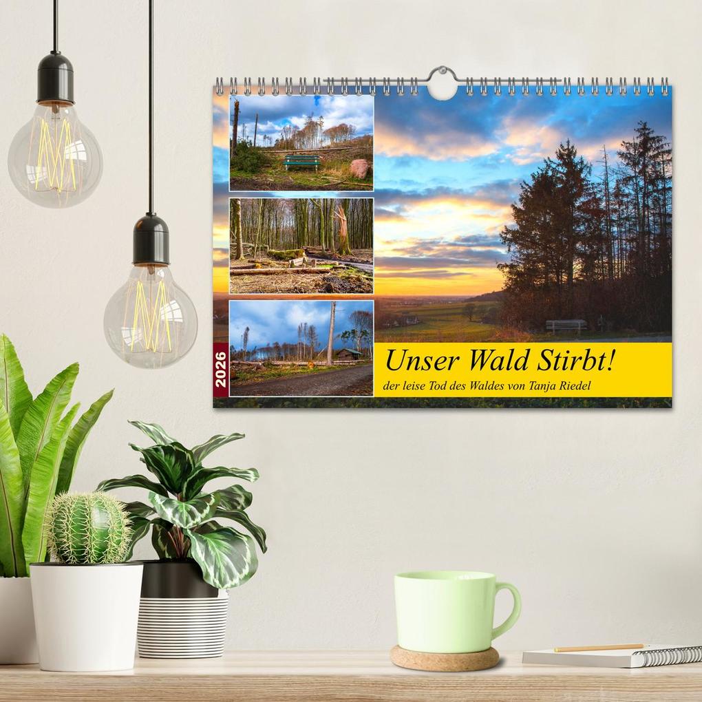 Weitere Ansicht: Unser Wald Stirbt (Wandkalender 2026 DIN A4 quer), CALVENDO Monatskalender | Tanja Riedel, Calvendo