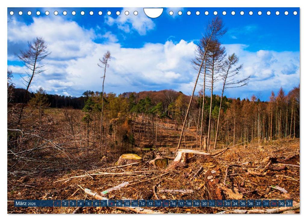 Weitere Ansicht: Unser Wald Stirbt (Wandkalender 2026 DIN A4 quer), CALVENDO Monatskalender | Tanja Riedel, Calvendo
