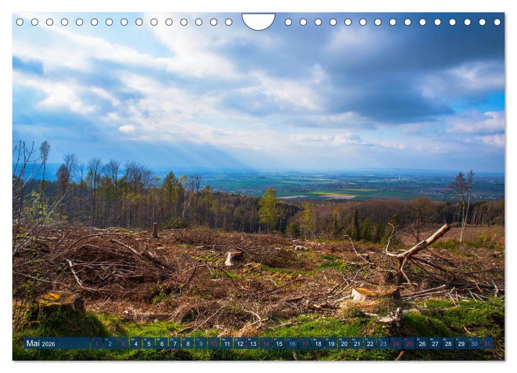 Weitere Ansicht: Unser Wald Stirbt (Wandkalender 2026 DIN A4 quer), CALVENDO Monatskalender | Tanja Riedel, Calvendo