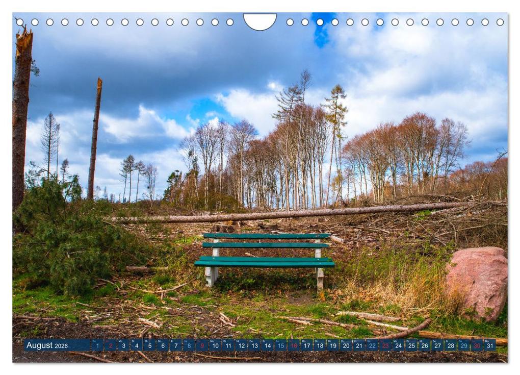 Weitere Ansicht: Unser Wald Stirbt (Wandkalender 2026 DIN A4 quer), CALVENDO Monatskalender | Tanja Riedel, Calvendo
