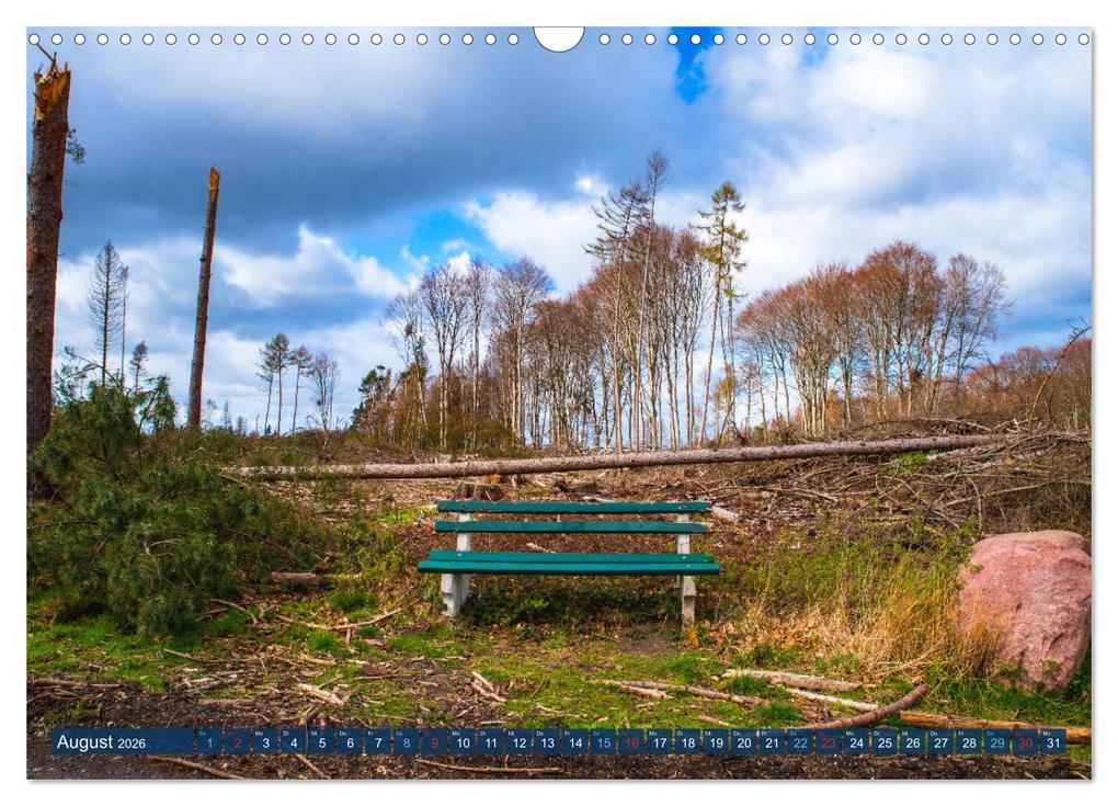 Weitere Ansicht: Unser Wald Stirbt (Wandkalender 2026 DIN A3 quer), CALVENDO Monatskalender | Tanja Riedel, Calvendo