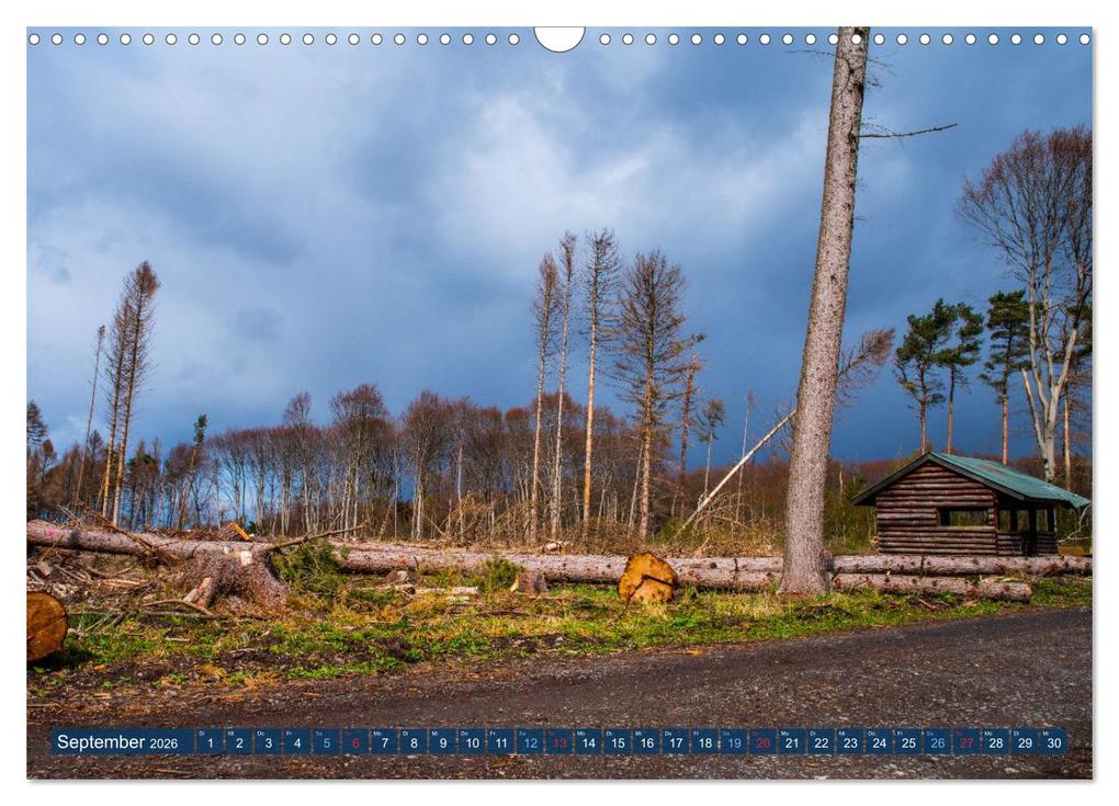 Weitere Ansicht: Unser Wald Stirbt (Wandkalender 2026 DIN A3 quer), CALVENDO Monatskalender | Tanja Riedel, Calvendo