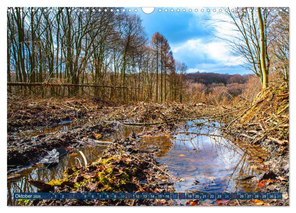 Weitere Ansicht: Unser Wald Stirbt (Wandkalender 2026 DIN A3 quer), CALVENDO Monatskalender | Tanja Riedel, Calvendo