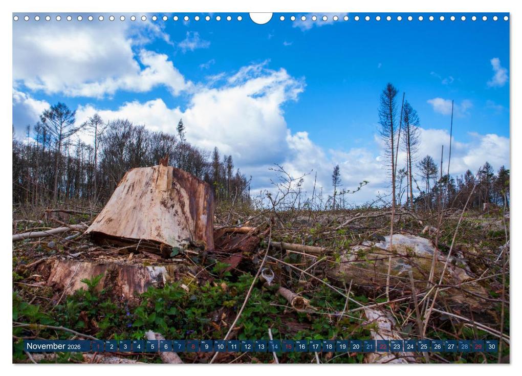 Weitere Ansicht: Unser Wald Stirbt (Wandkalender 2026 DIN A3 quer), CALVENDO Monatskalender | Tanja Riedel, Calvendo