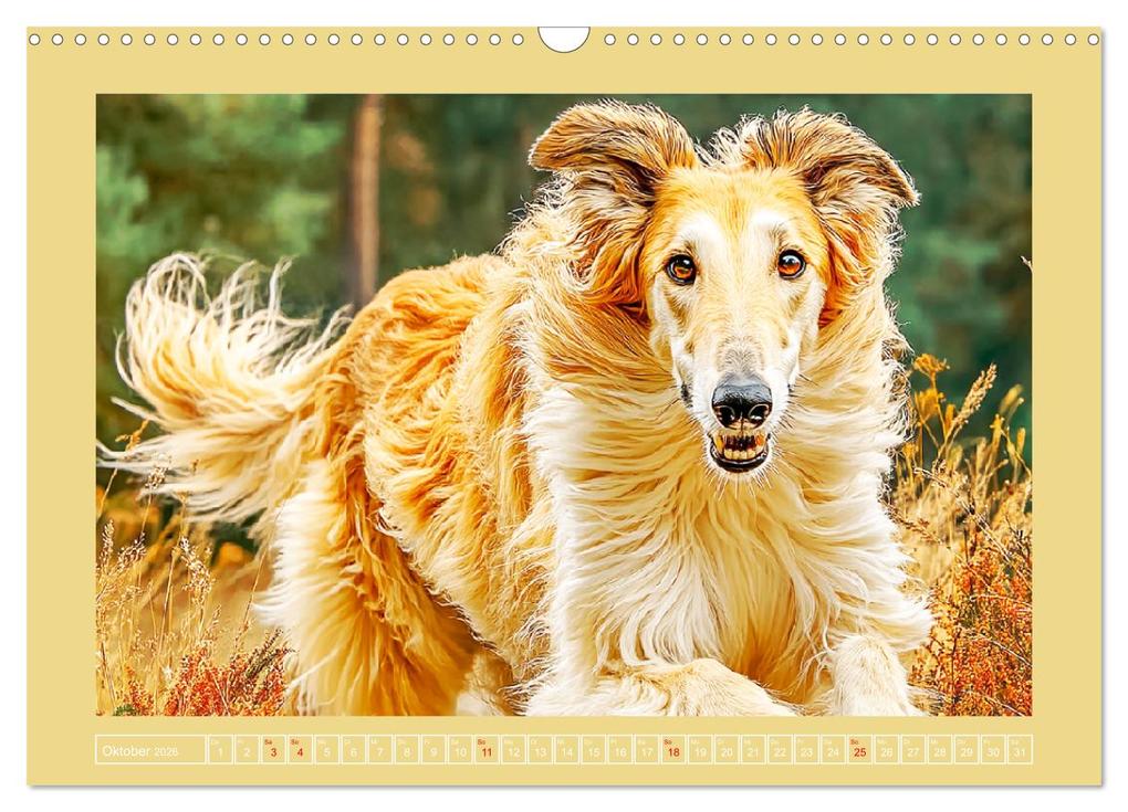 Weitere Ansicht: Windhunde. Seelenflüsterer zwischen Anmut, Tempo und Stille (Wandkalender 2026 DIN A3 quer), CALVENDO Monatskalender | Calvendo, Rose Hurley