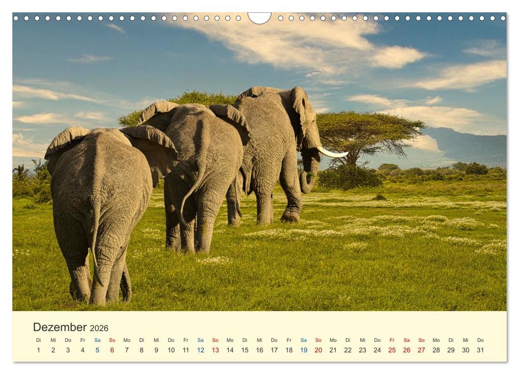Weitere Ansicht: Safari in Kenia (Wandkalender 2026 DIN A3 quer), CALVENDO Monatskalender | Calvendo, Heinz-Peter Schwerin
