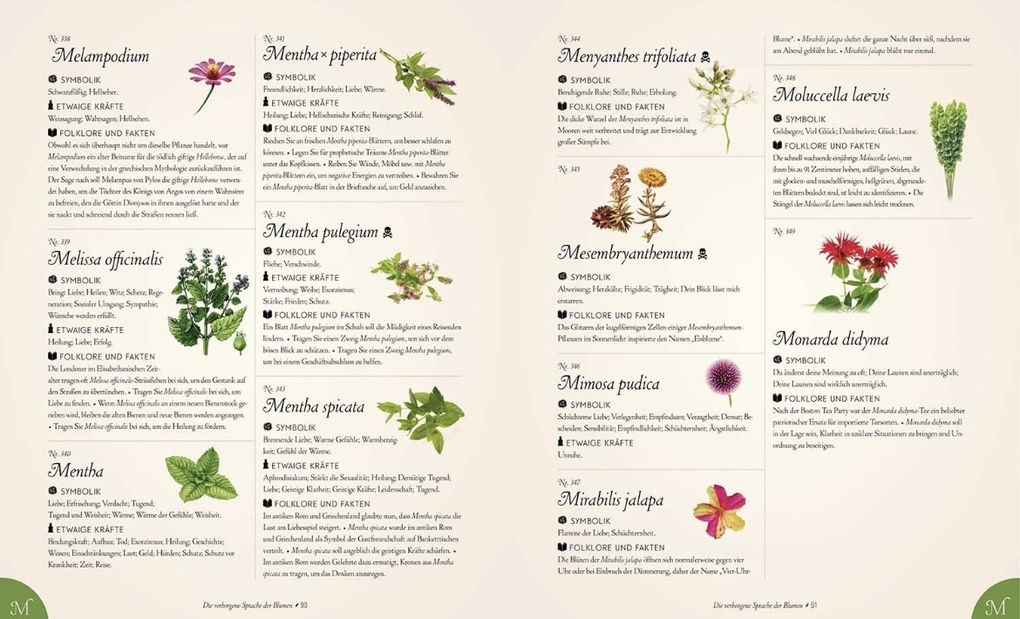 Weitere Ansicht: Die verborgene Sprache der Blumen | S. Theresa Dietz