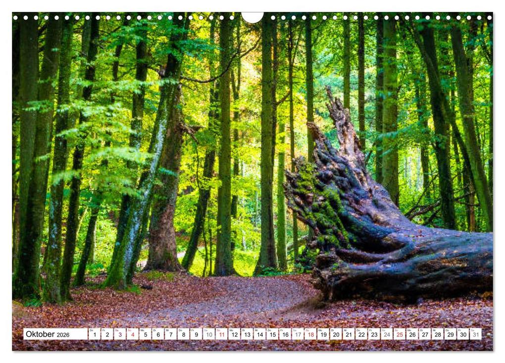 Weitere Ansicht: Insel Rügen - Meine wilde Ostsee-Romanze (Wandkalender 2026 DIN A3 quer), CALVENDO Monatskalender | Martin Wasilewski, Calvendo