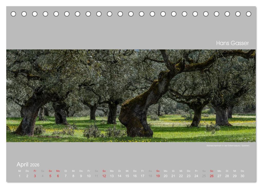 Weitere Ansicht: GROSSARTIGE LANDSCHAFTEN 2026 (Tischkalender 2026 DIN A5 quer), CALVENDO Monatskalender | Calvendo, Hans Gasser
