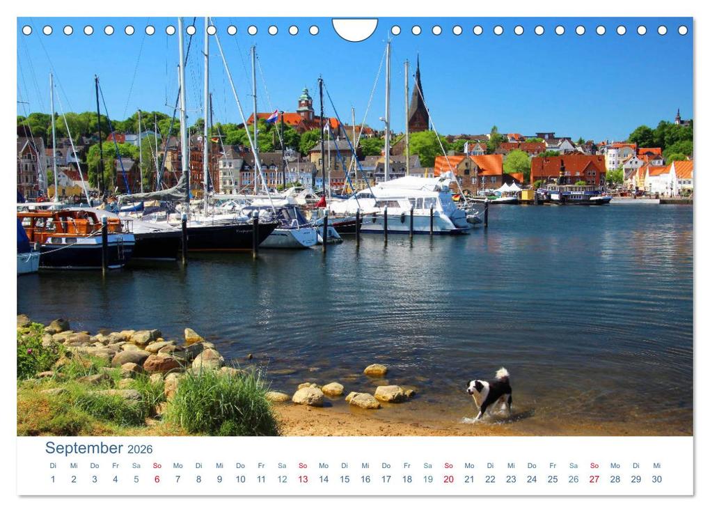 Weitere Ansicht: Flensburg 2026. Impressionen rund um den Hafen (Wandkalender 2026 DIN A4 quer), CALVENDO Monatskalender | Steffani Lehmann, Calvendo