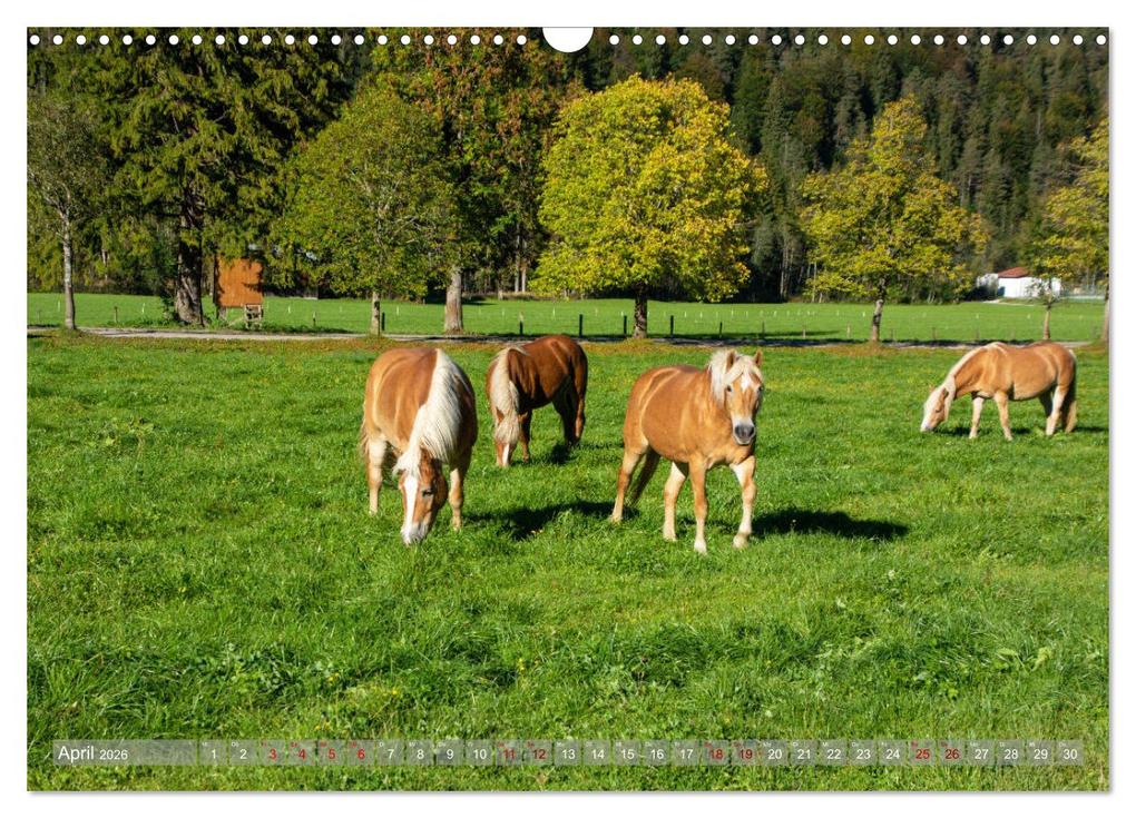 Weitere Ansicht: Achensee - im Herzen der Tiroler Alpen (Wandkalender 2026 DIN A3 quer), CALVENDO Monatskalender | Calvendo, Stefanie und Philipp Kellmann
