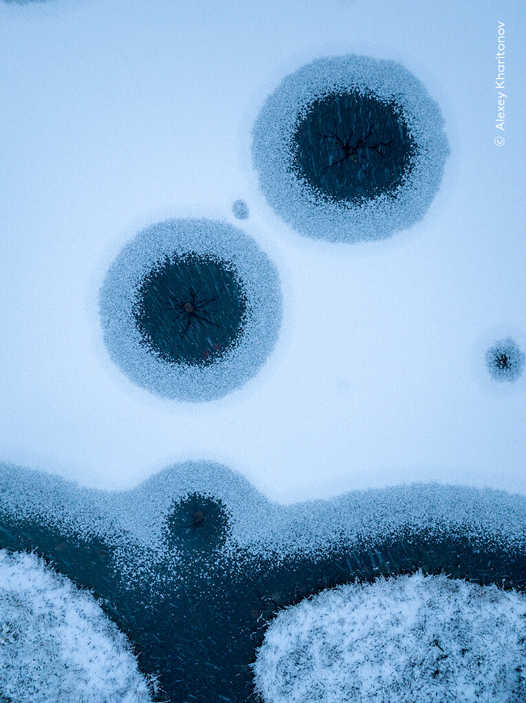 Weitere Ansicht: Wildlife Fotografien des Jahres - Portfolio 35