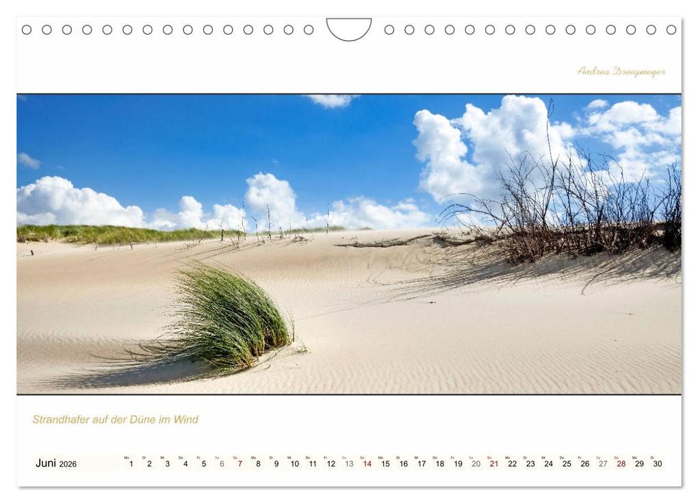Weitere Ansicht: NORDERNEY PANORAMA (Wandkalender 2026 DIN A4 quer), CALVENDO Monatskalender | Andrea Dreegmeyer, Calvendo