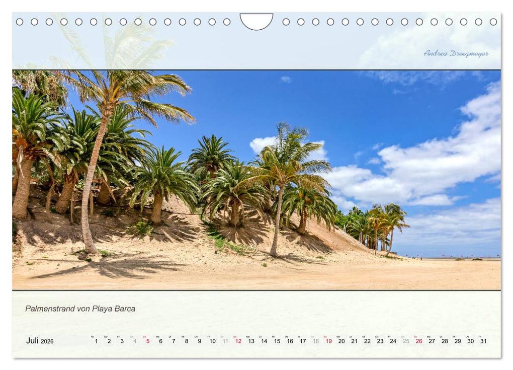 Weitere Ansicht: FUERTEVENTURA-PANORAMA (Wandkalender 2026 DIN A4 quer), CALVENDO Monatskalender | Andrea Dreegmeyer, Calvendo