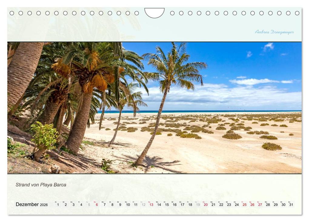 Weitere Ansicht: FUERTEVENTURA-PANORAMA (Wandkalender 2026 DIN A4 quer), CALVENDO Monatskalender | Andrea Dreegmeyer, Calvendo