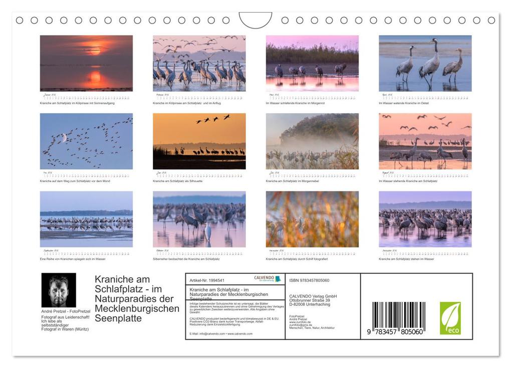 Weitere Ansicht: Kraniche am Schlafplatz - im Naturparadies der Mecklenburgischen Seenplatte (Wandkalender 2026 DIN A4 quer), CALVENDO Monatskalender | André Pretzel - FotoPretzel, Calvendo