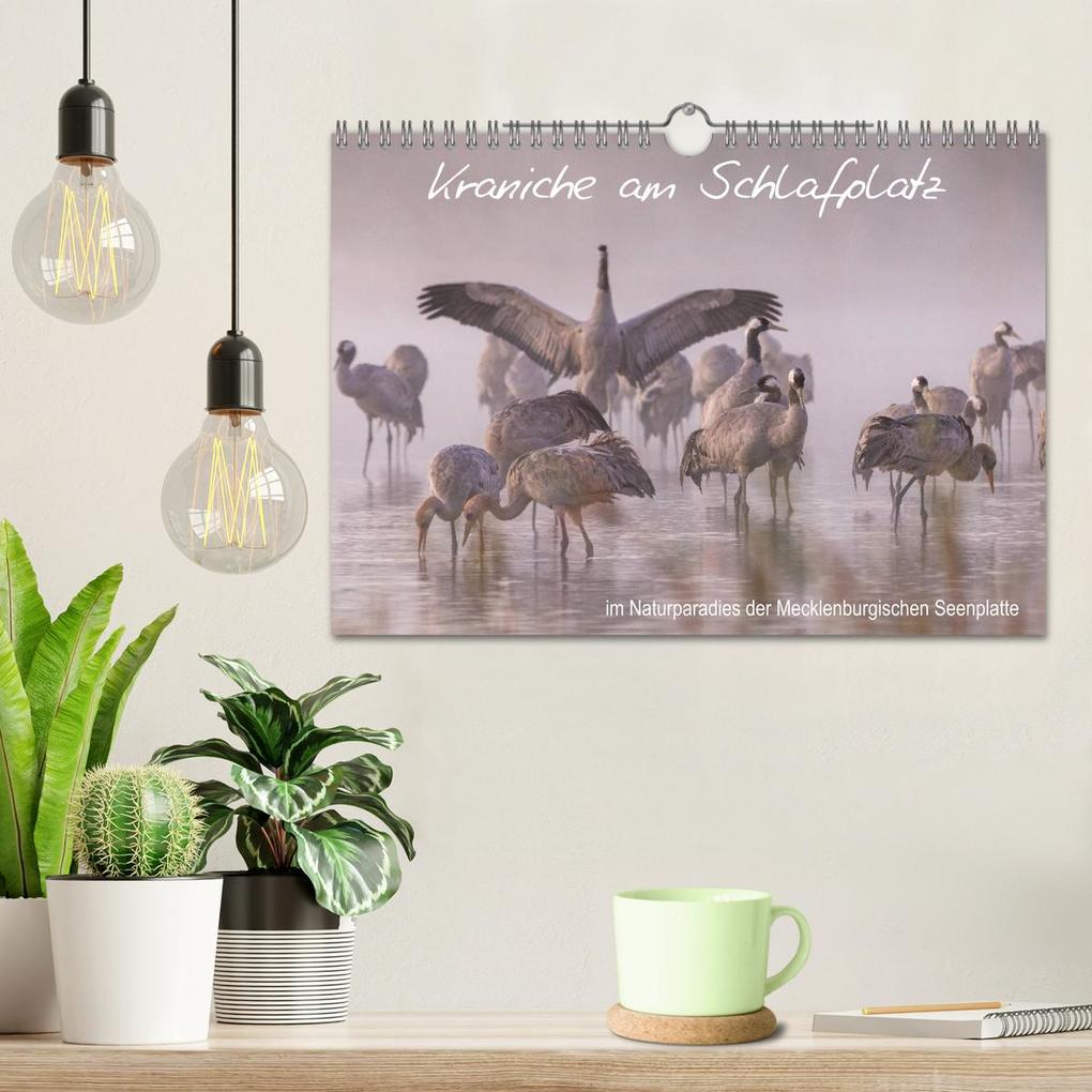 Weitere Ansicht: Kraniche am Schlafplatz - im Naturparadies der Mecklenburgischen Seenplatte (Wandkalender 2026 DIN A4 quer), CALVENDO Monatskalender | André Pretzel - FotoPretzel, Calvendo