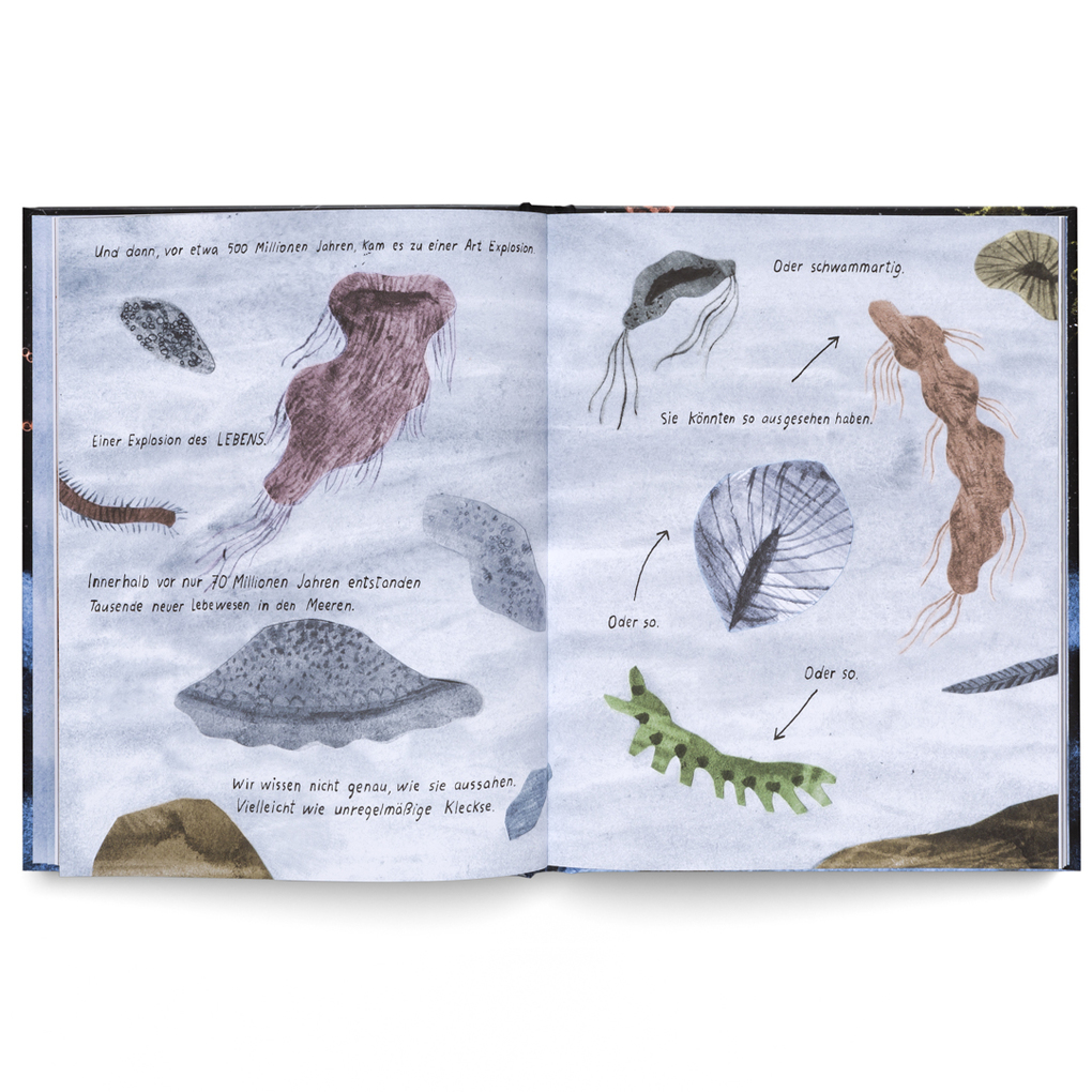 Weitere Ansicht: Was wir über Leben auf der Erde wissen. Urknall, Weltall und wir alle. | Ziggy Hanaor