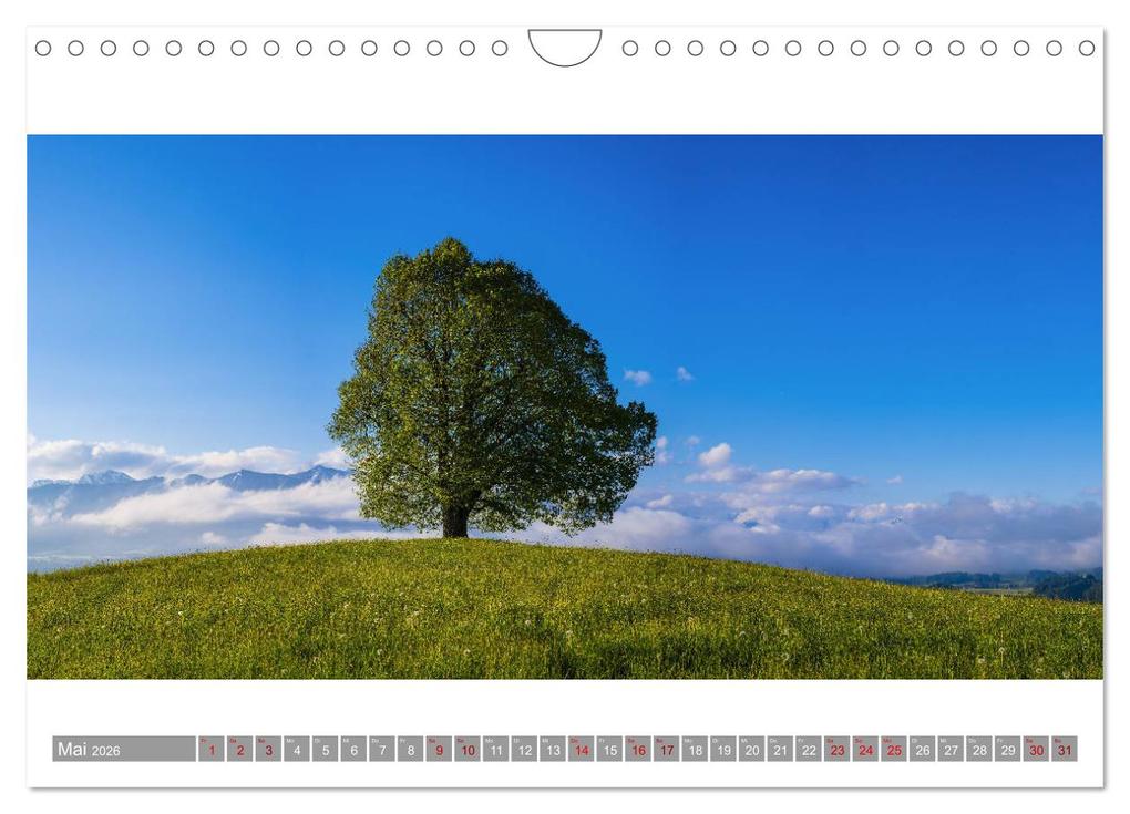 Weitere Ansicht: Oberallgäu Panorama (Wandkalender 2026 DIN A4 quer), CALVENDO Monatskalender | Walter G. Allgöwer, Calvendo