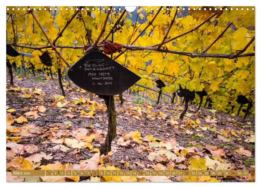 Weitere Ansicht: Wein - Landschaften (Wandkalender 2026 DIN A3 quer), CALVENDO Monatskalender | Rolf Dietz, Calvendo