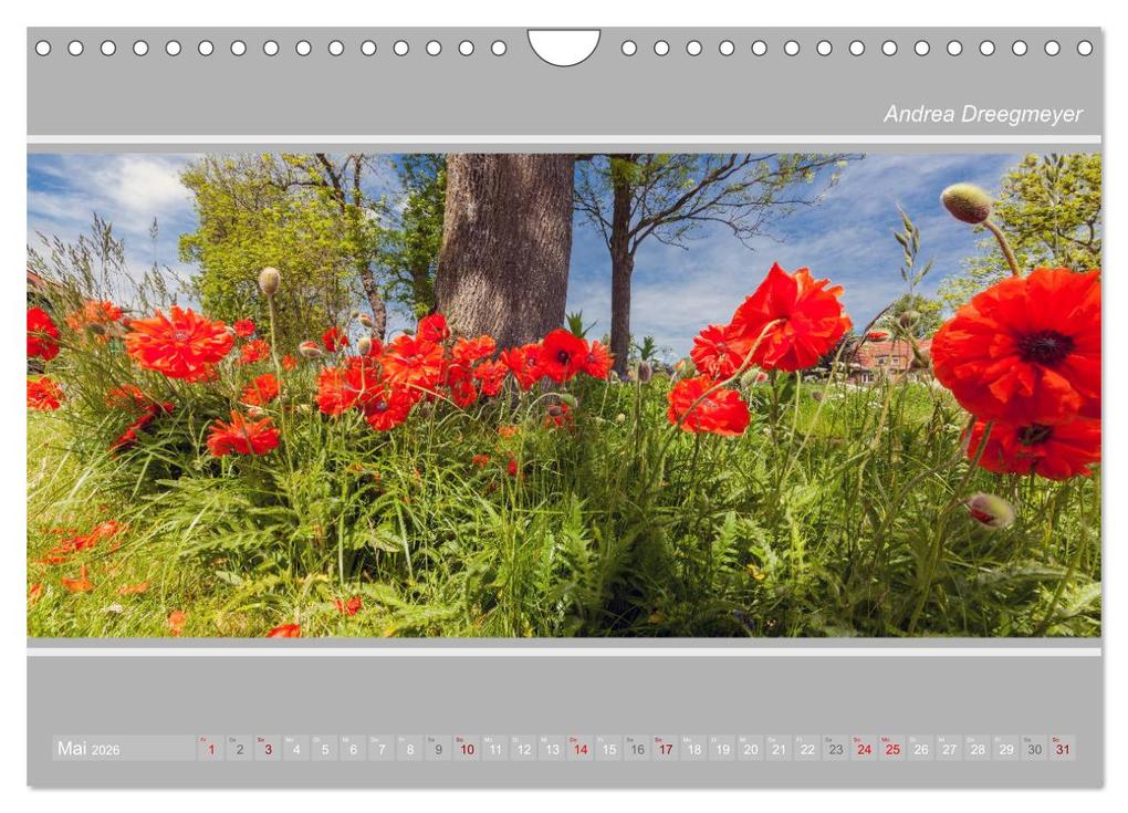 Weitere Ansicht: Krummhörn im Panorama-Format (Wandkalender 2026 DIN A4 quer), CALVENDO Monatskalender | Andrea Dreegmeyer, Calvendo