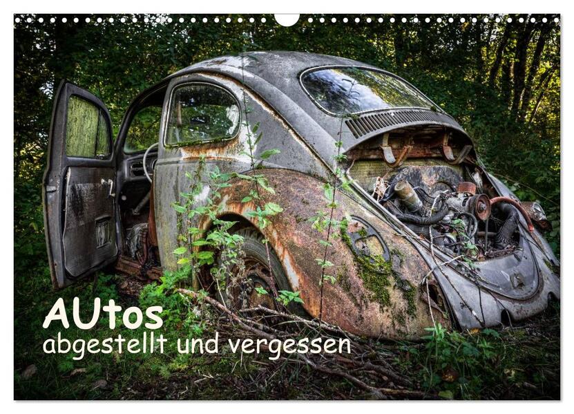 Produktbild: Autos, abgestellt und vergessen (Wandkalender 2026 DIN A3 quer), CALVENDO Monatskalender | Dirk Rosin, Calvendo