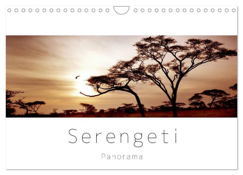 Produktbild: Serengeti Panorama (Wandkalender 2026 DIN A4 quer), CALVENDO Monatskalender | studio visuell photography, Calvendo