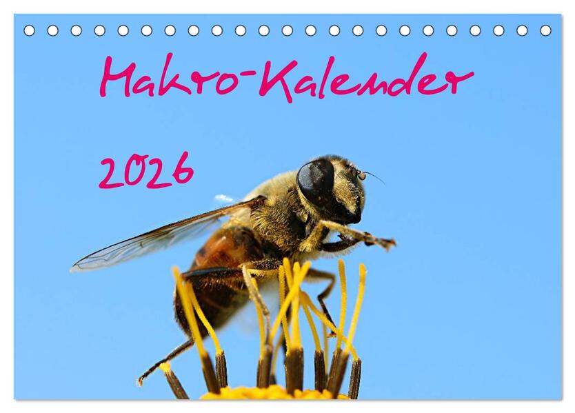 Produktbild: Makro-Kalender 2026 (Tischkalender 2026 DIN A5 quer), CALVENDO Monatskalender | Calvendo, Bernd Witkowski