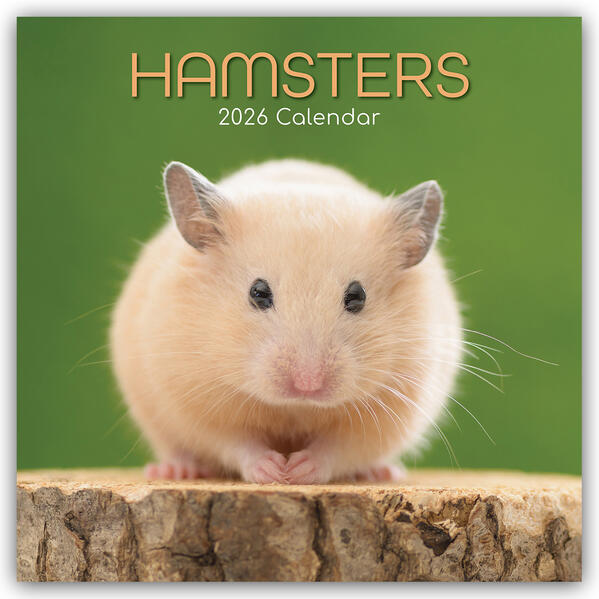 Produktbild: Hamsters - Hamster 2026 - 16-Monatskalender | Gifted Stationery Co. Ltd