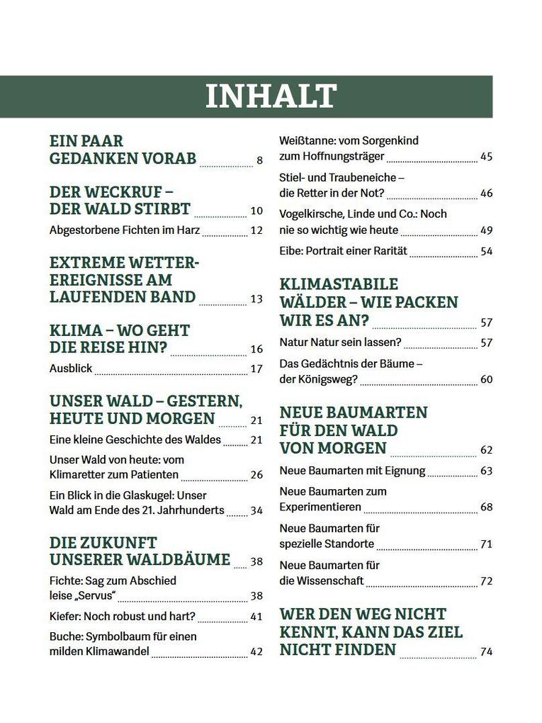 Weitere Ansicht: Wald im Wandel | Walter Schubach