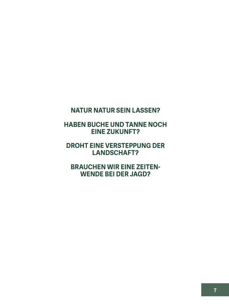 Weitere Ansicht: Wald im Wandel | Walter Schubach