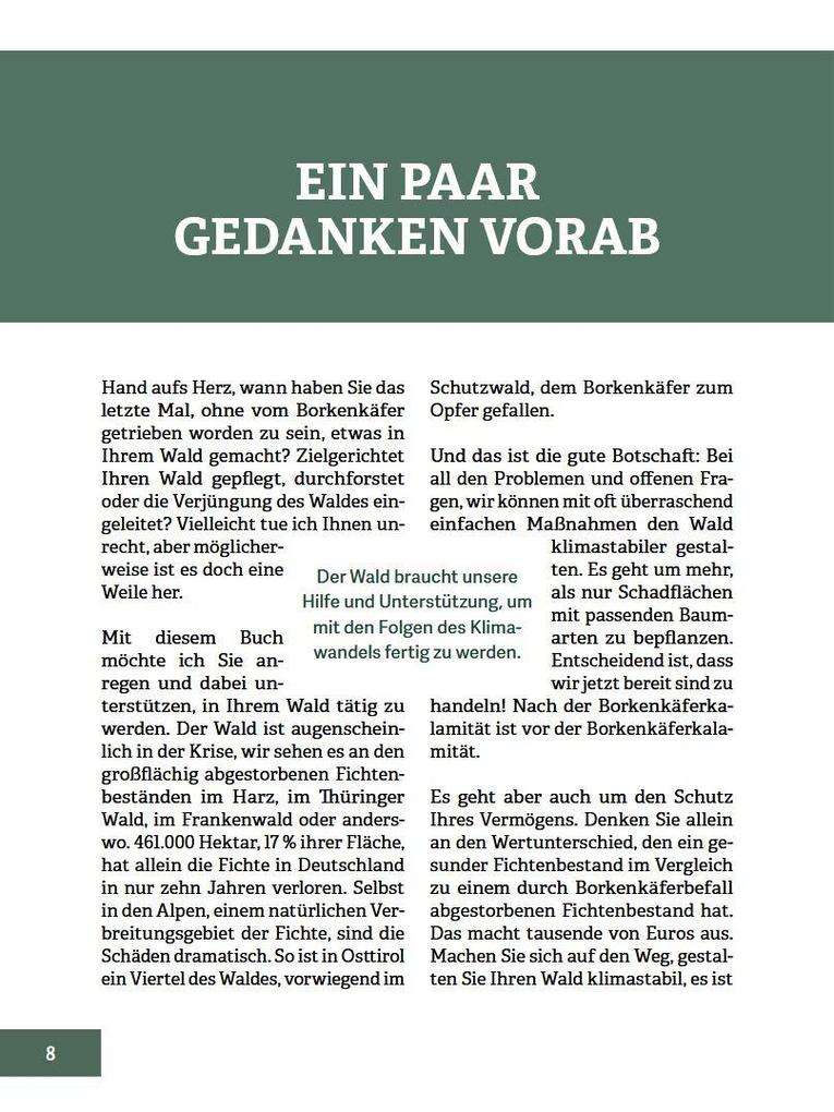 Weitere Ansicht: Wald im Wandel | Walter Schubach