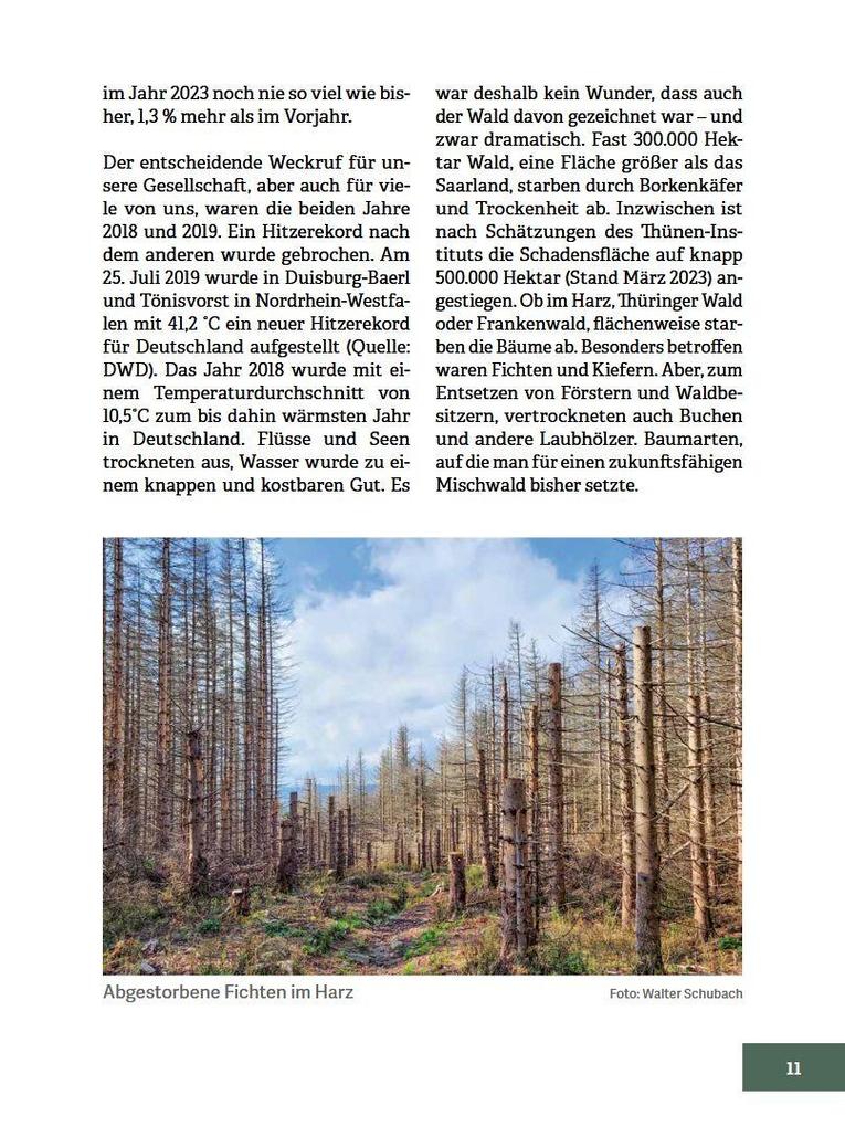 Weitere Ansicht: Wald im Wandel | Walter Schubach