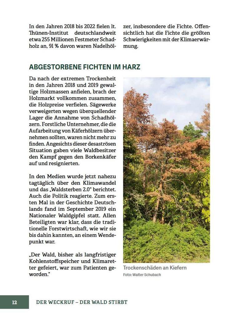 Weitere Ansicht: Wald im Wandel | Walter Schubach