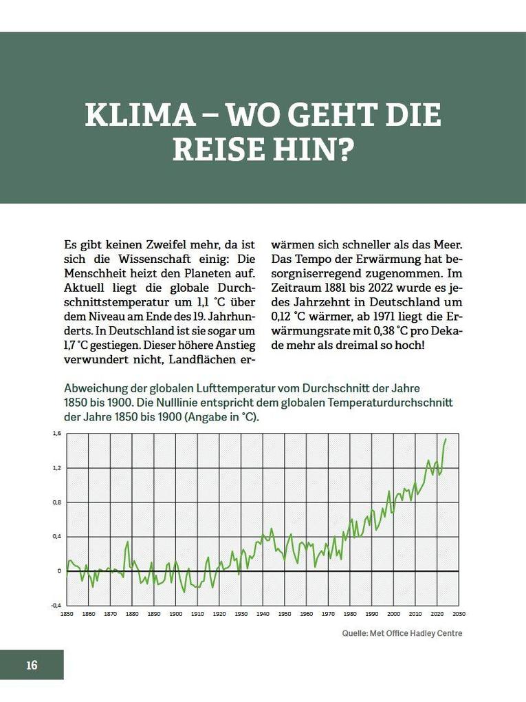 Weitere Ansicht: Wald im Wandel | Walter Schubach