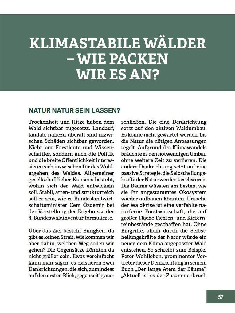 Weitere Ansicht: Wald im Wandel | Walter Schubach