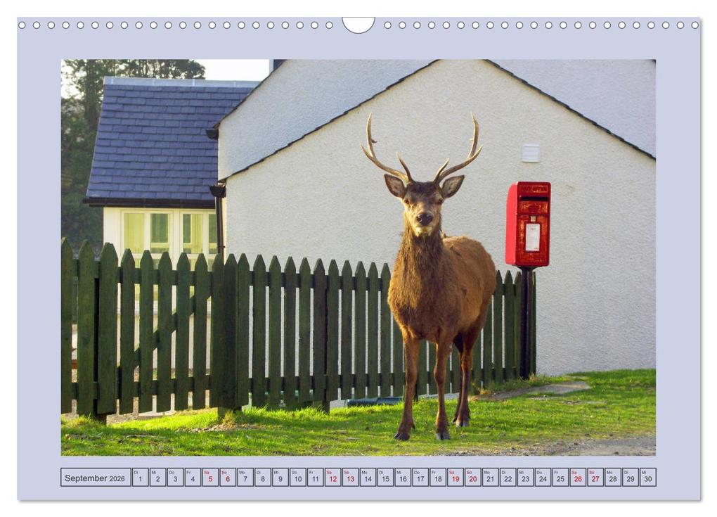 Weitere Ansicht: Sie haben Post - Briefkästen in Schottland (Wandkalender 2026 DIN A3 quer), CALVENDO Monatskalender | Udo Haafke, Calvendo