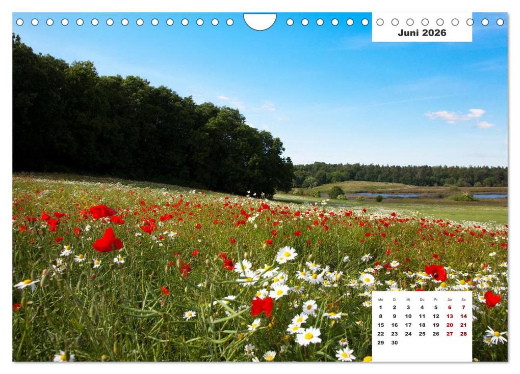Weitere Ansicht: Rügen Panorama (Wandkalender 2026 DIN A4 quer), CALVENDO Monatskalender | Tilo Grellmann, Calvendo