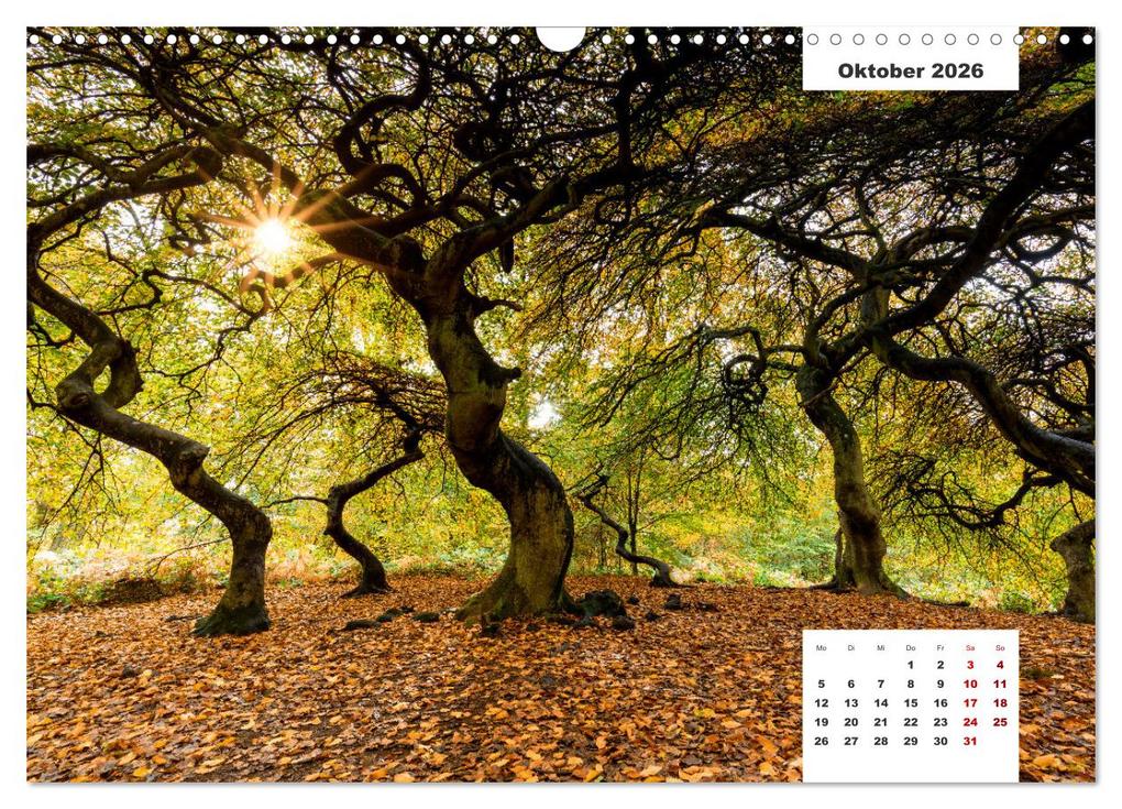 Weitere Ansicht: Rügen Panorama (Wandkalender 2026 DIN A3 quer), CALVENDO Monatskalender | Tilo Grellmann, Calvendo