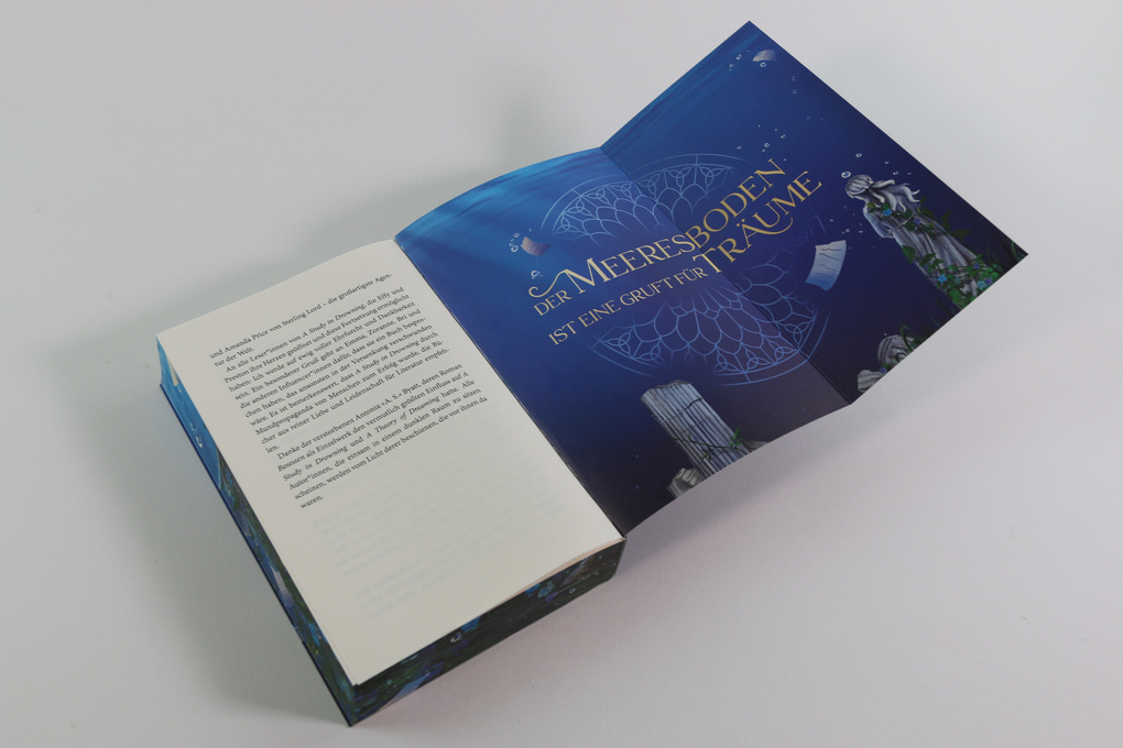 Weitere Ansicht: A Theory of Dreaming (A Study in Drowning, Band 2) | Ava Reid