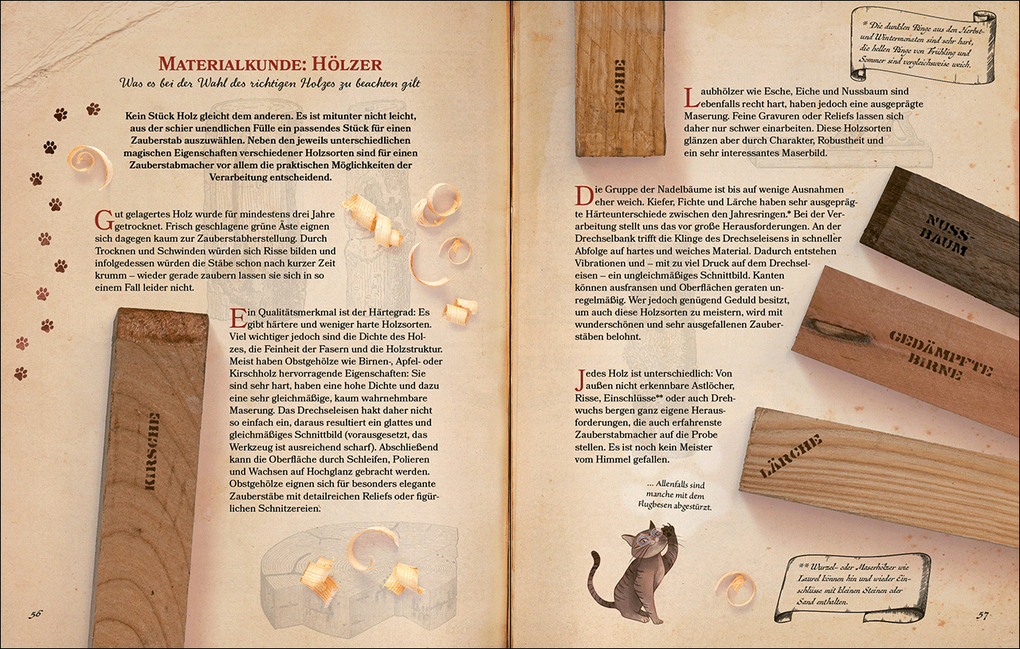 Weitere Ansicht: Zauberstäbe und ihre Geheimnisse | Stephan Köstler